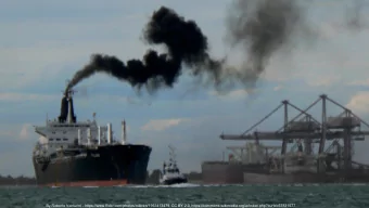 By Roberto Venturini - https://www.flickr.com/photos/robven/1953413479, CC BY 2.0,