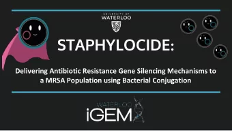 STAPHYLOCIDE :  Delivering Antibiotic Resistance Gene Silencing Mechanisms to  a MRSA Population