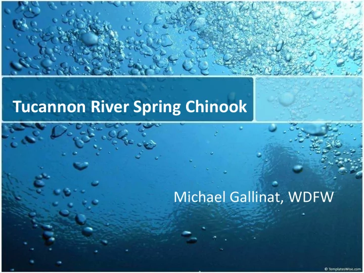 tucannon river spring chinook