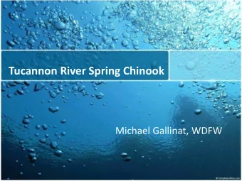 Tucannon River Spring Chinook  Michael Gallinat, WDFW  Acknowledgments  Funding Sources: