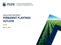 permanent plantings outlook
