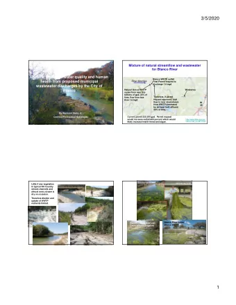 3/5/2020  Mixture of natural streamflow and wastewater  for Blanco River  General threats to water