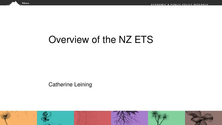 overview of the nz ets