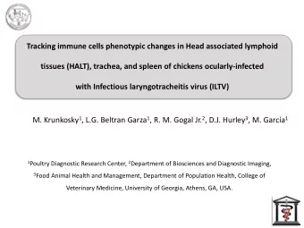 Tracking immune cells phenotypic changes in Head associated lymphoid  tissues (HALT), trachea, and