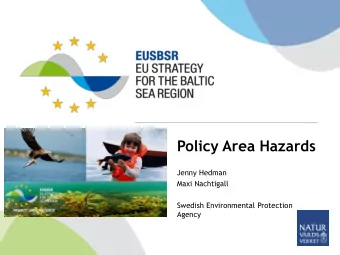 Policy Area Hazards  Jenny Hedman  Maxi Nachtigall  Swedish Environmental Protection  Agency
