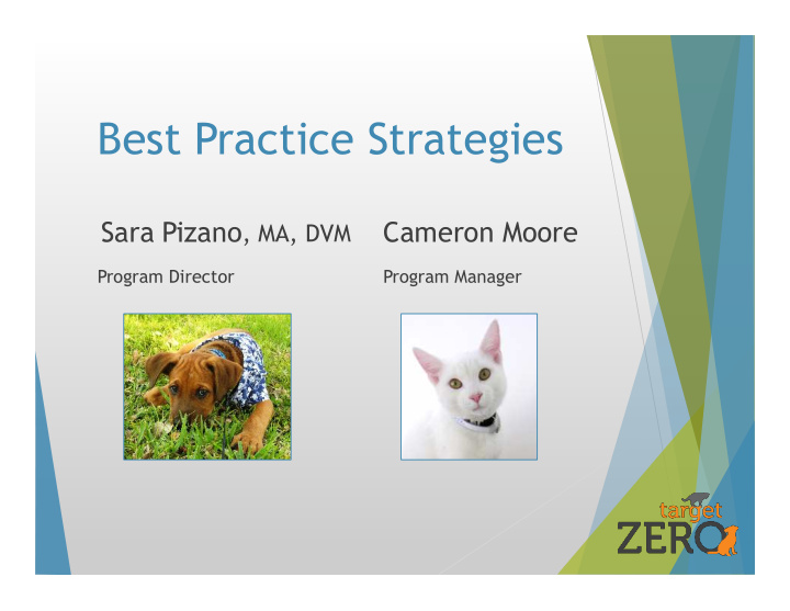 best practice strategies