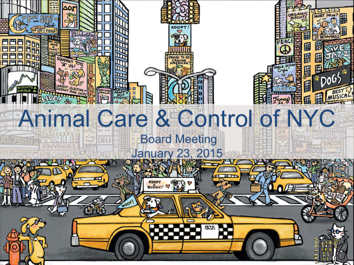 animal care amp control of nyc