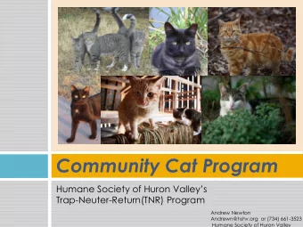 Community Cat Program  Humane Society of Huron Valleys  Trap-Neuter-Return(TNR) Program  Andrew