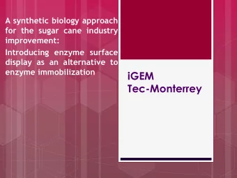 iGEM  Tec-Monterrey  Brainstorm  Last years Biosensor  Sulfurafane Metabolic pathway