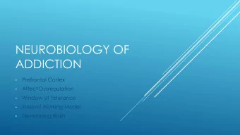 ADDICTION  Prefrontal Cortex    Affect Dysregulation    Window of Tolerance    Internal