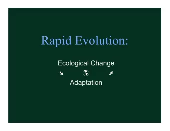 Definitions  What is a genotype?  The genetic make up of an organism  What is a phenotype?