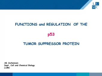 p53  TUMOR SUPPRESSOR PROTEIN  AG Jochemsen  Dept. Cell and Chemical Biology  LUMC  Functions and