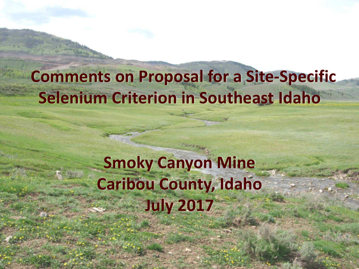 comments on proposal for a site specific selenium