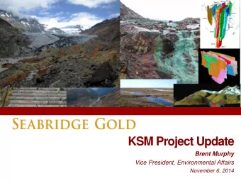 KSM Project Update  Brent Murphy  Vice President, Environmental Affairs  November 6, 2014  About