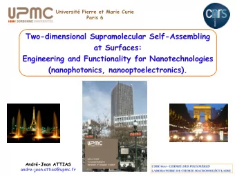Two-dimensional Supramolecular Self-Assembling  at Surfaces:  Engineering and Functionality for