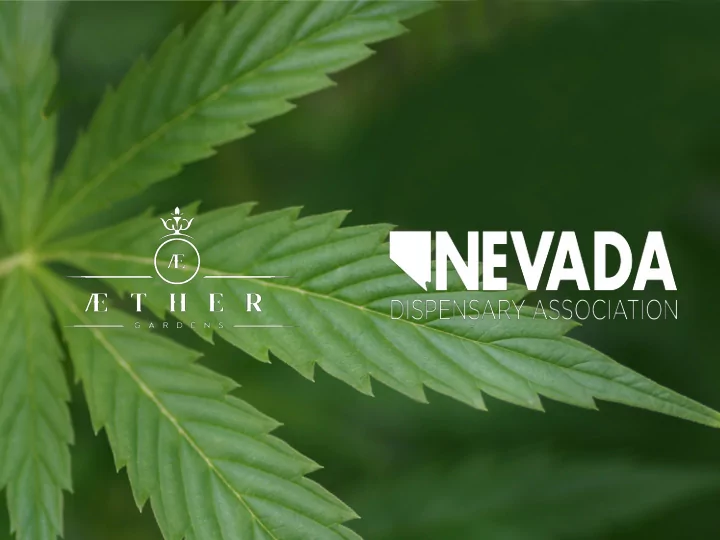 nevada s marijuana market