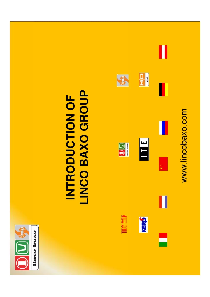 linco baxo group linco baxo group introduction of