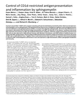 I  Invariant natural killer T (iNKT) cells are an important lympho- cyte population that sense