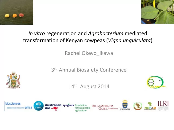 14 th august 2014