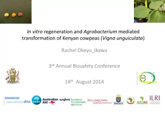 14 th August 2014  Introduction  Cowpeas (Kunde)  grown  for seeds, leaves and pods.  Av.