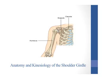 Anatomy and Kinesiology of the Shoulder Girdle  Lesson Plan:  40a  Anatomy and Kinesiology of the