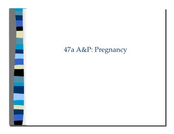 47a A&amp;P: Pregnancy 47a A&amp;P: Pregnancy  Class Outline  5 minutes   Attendance,
