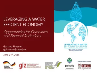 EFFICIENT  FFICIENT ECONO  ONOMY  MY  Opportunities for Companies  and Financial Institutions