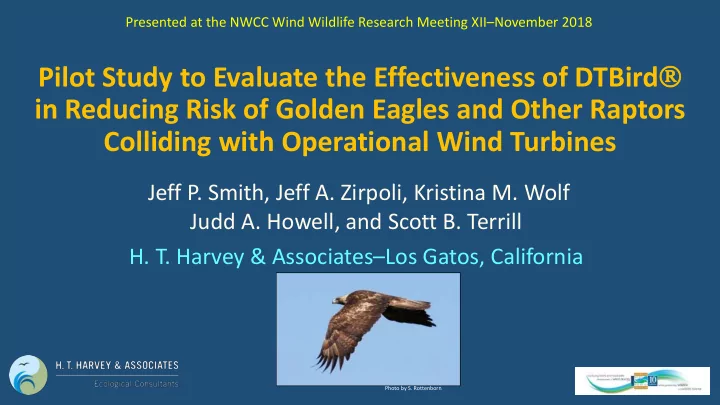 pilot study to evaluate the effectiveness of dtbird in