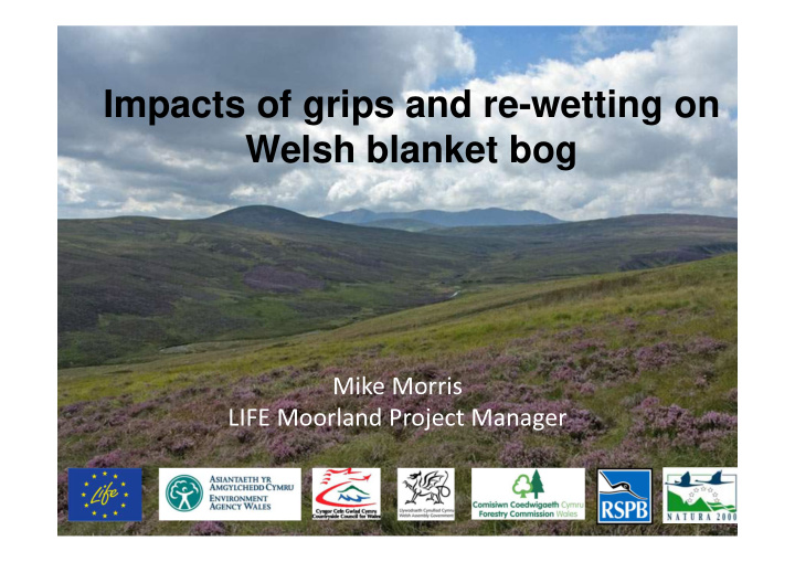 impacts of grips and re wetting on welsh blanket bog