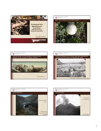 1  Alluvial and aeolian processes transport and deposit parent  Climate influences the speed of