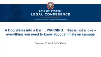A Dog Walks into a Bar  WARNING:  This is not a joke   everything you need to know about