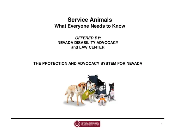 service animals