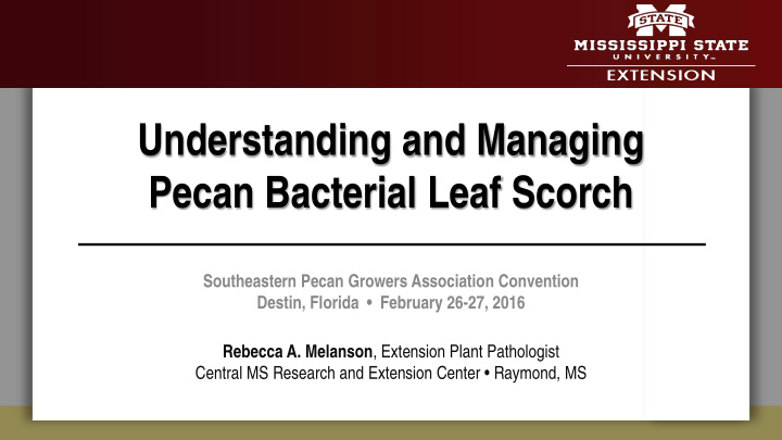 understanding and managing pecan bacterial leaf scorch