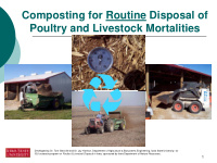 composting for routine disposal of poultry and livestock