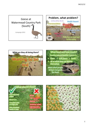 1  04/12/12  Too much food and too many birds  The birds loose their fear  Goose dung