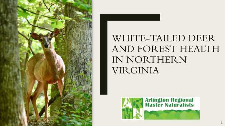 white tailed deer and forest health in northern virginia