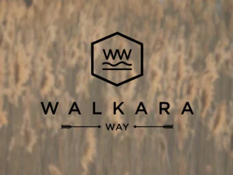 Agenda 3. Problems Facing the Lakeshore 4. Proposed Solution  Jacob Walter  Holdaway    25+
