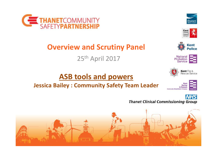 overview and scrutiny panel