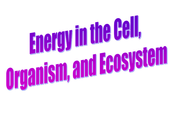 energy in the cell