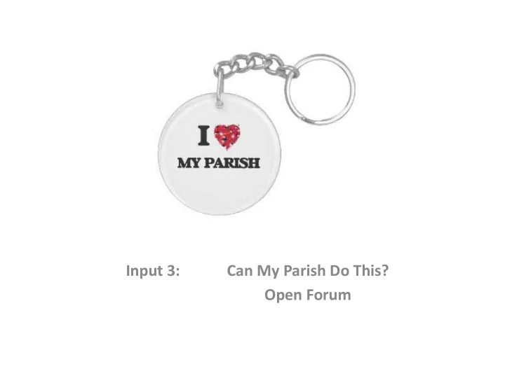 input 3 can my parish do this open forum our experience