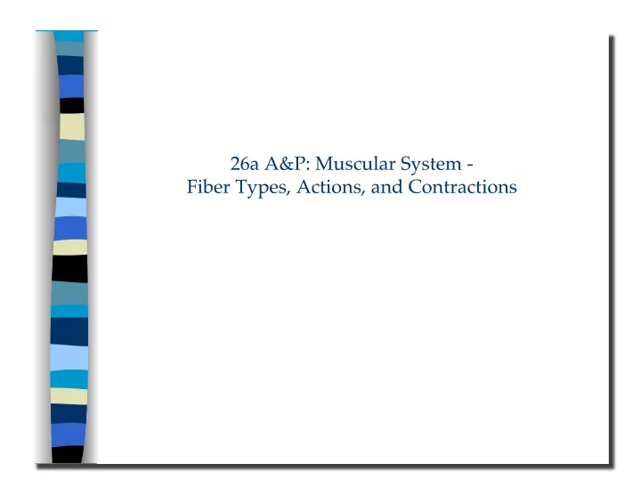 fiber types actions and contractions