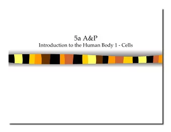 5a A&amp;P Introduction to the Human Body 1 - Cells 5a A&amp;P Introduction to the Human Body 1 -