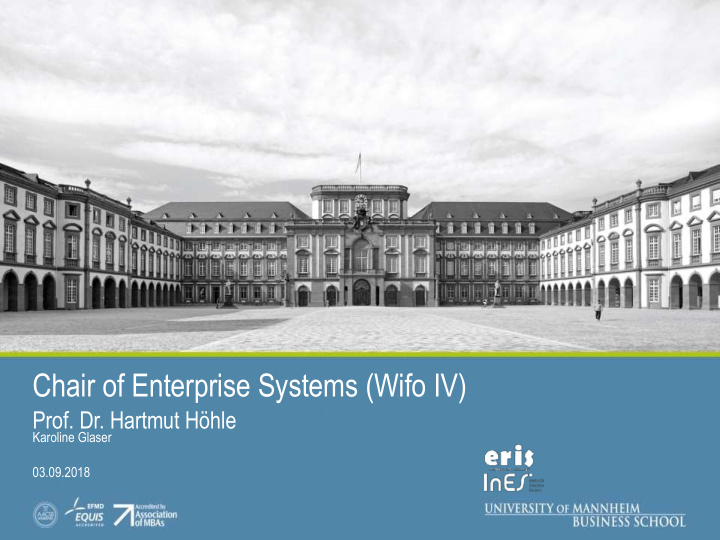 chair of enterprise systems wifo iv