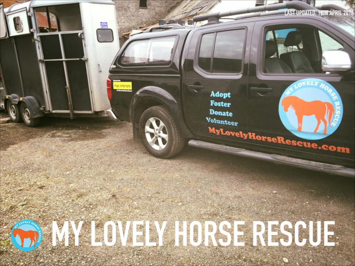my lovely horse rescue my lovely horse rescue