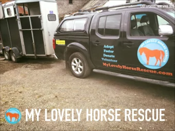 MY LOVELY HORSE RESCUE  MY LOVELY HORSE RESCUE  WHO ARE MLHR?  WHO WE ARE NOT!  WHY WE EXIST - THE
