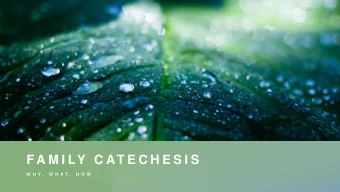F A M I LY  C AT E C H E S I S  W H Y ,  W H A T ,  H O W  Fear  Failure       Judgment