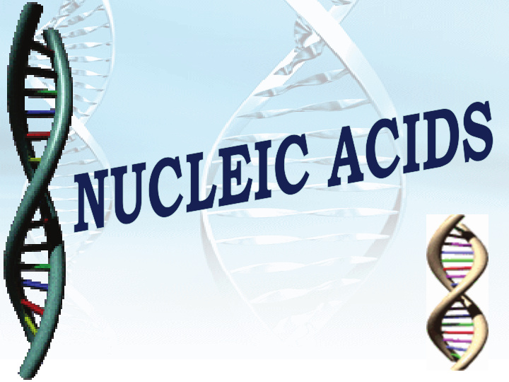 the nucleic acids are deoxyribonucleic acid dna and