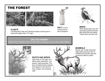 THE FOREST  BIRDS SALT is not a  Seed eating birds may eat  PLANTS  normal part of  road salt