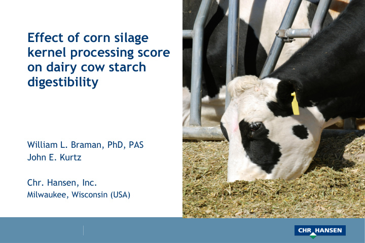 effect of corn silage kernel processing score on dairy