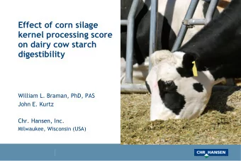 Effect of corn silage  kernel processing score  on dairy cow starch  digestibility  William L.
